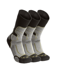 ULTRA Merino Crew Sock 3-Pair Pack | Grey Green